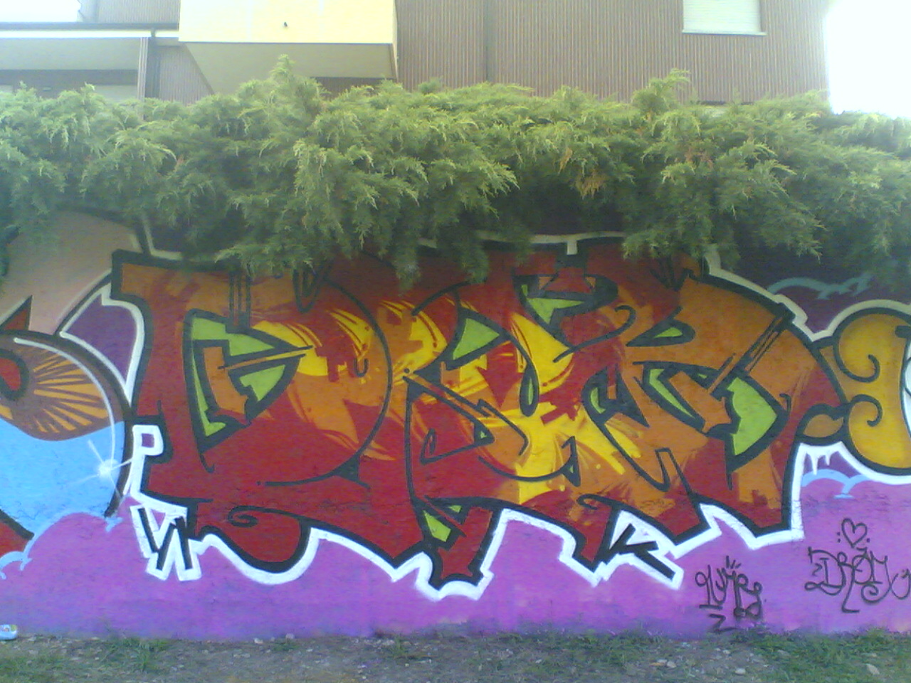 DROM: A BUCCY... YO RADES E ORBITA